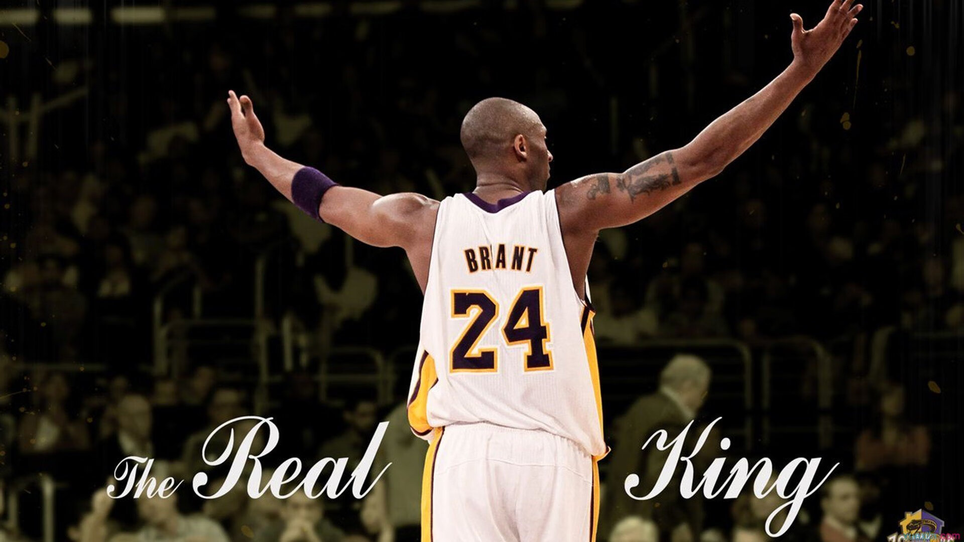 王者荣耀赛事数据分析：经济占比与参团率，谁是Carry核心？，王者荣耀比赛项目介绍